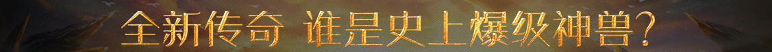 股票讯基金管理